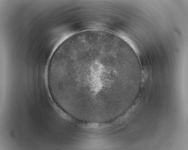 X0000116861098201001051420