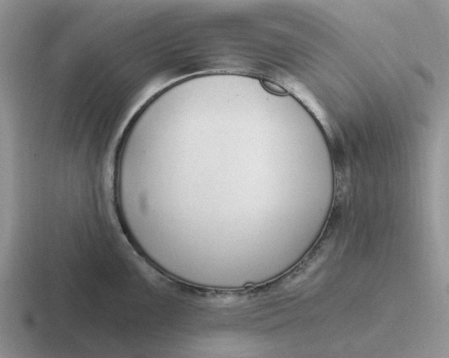 X0000116861099201001051420