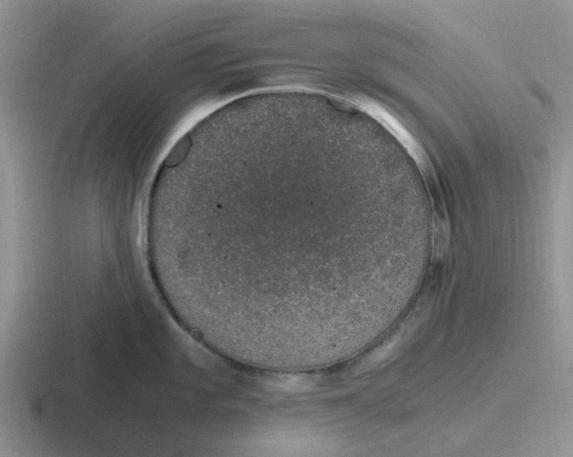 X0000116861101201001051420