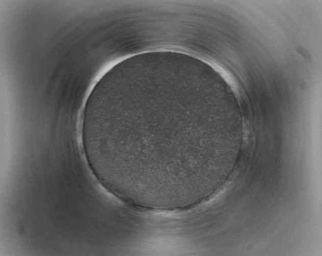 X0000116861102201001051420