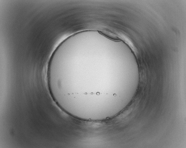 X0000116861103201001051420