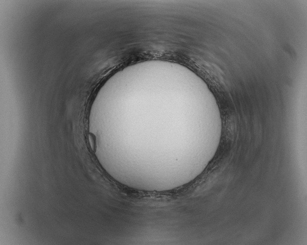 X0000116861105201001051419