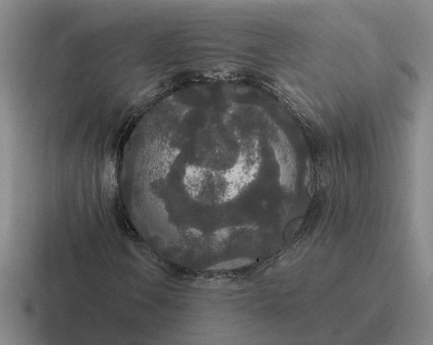 X0000116861106201001051419