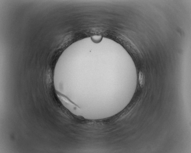 X0000116861107201001051419