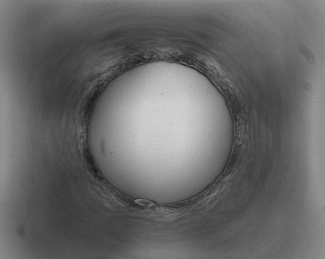 X0000116861109201001051419