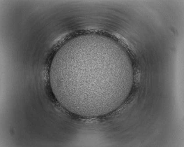 X0000116861110201001051419