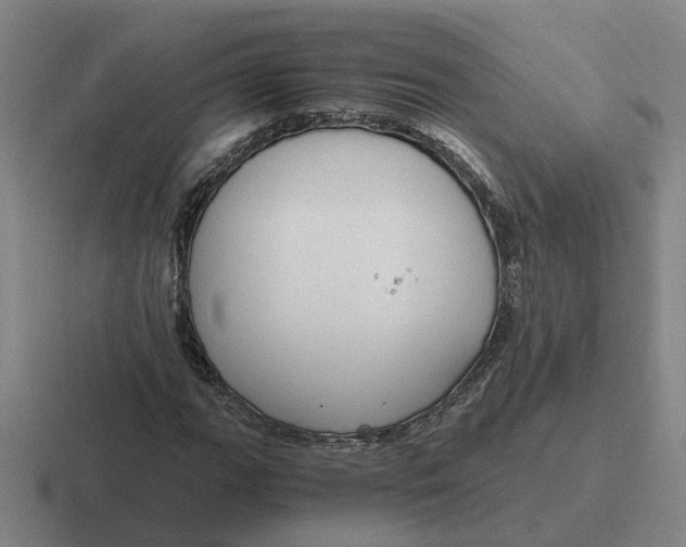 X0000116861111201001051419