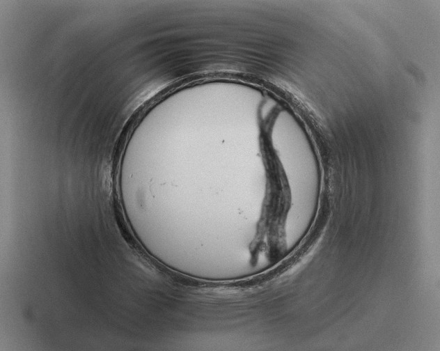 X0000116861113201001051419