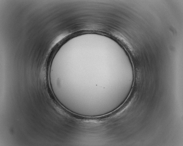 X0000116861114201001051419