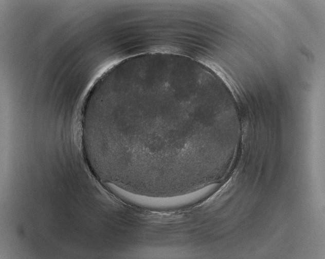 X0000116861115201001051419