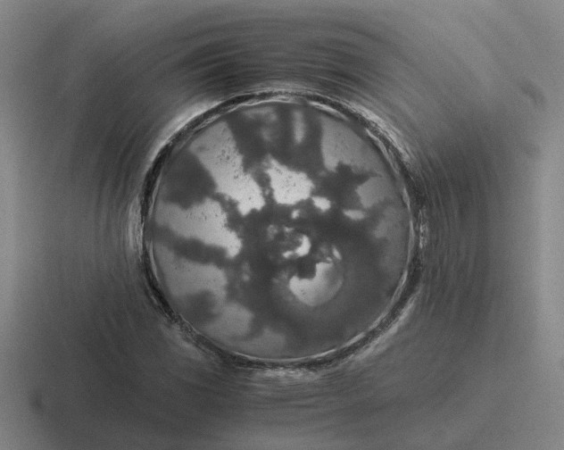 X0000116861117201001051419