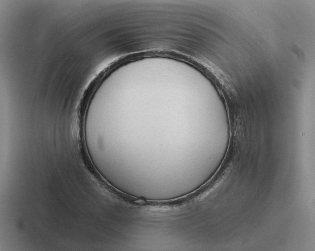 X0000116861118201001051419