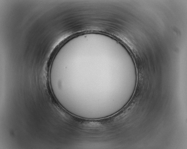 X0000116861119201001051419