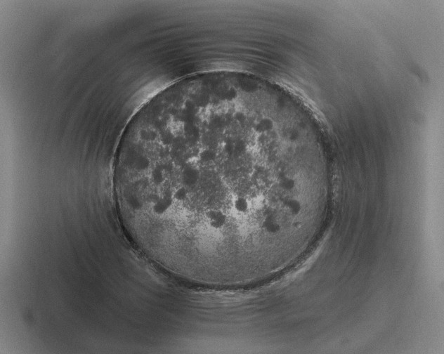 X0000116861121201001051419