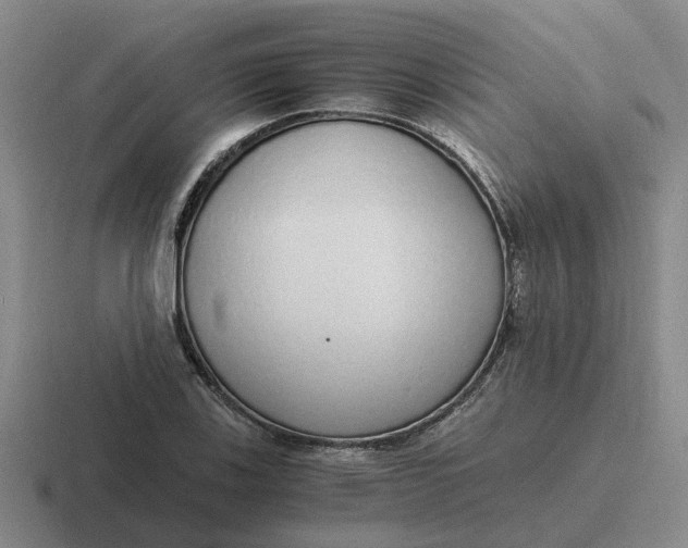 X0000116861123201001051419