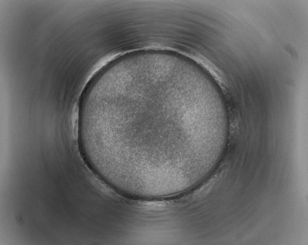 X0000116861126201001051419