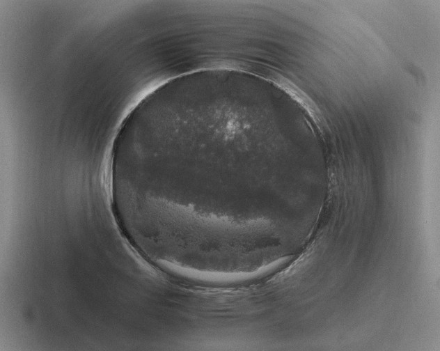 X0000116861127201001051419