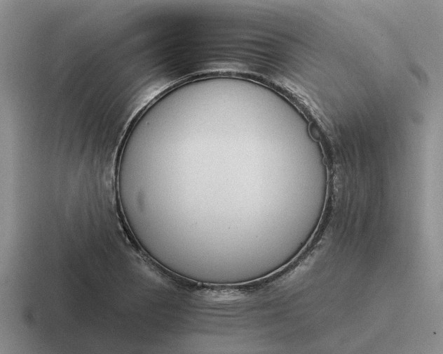 X0000116861129201001051419