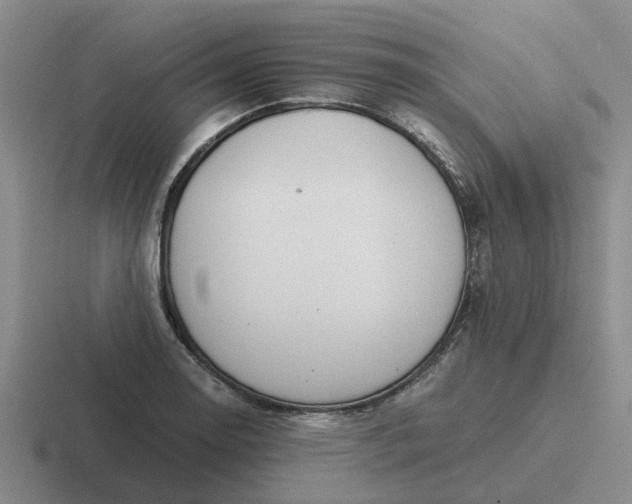 X0000116861130201001051419