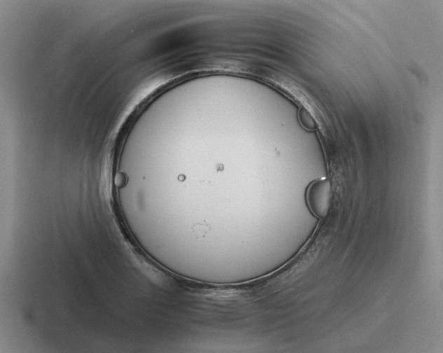 X0000116861131201001051419