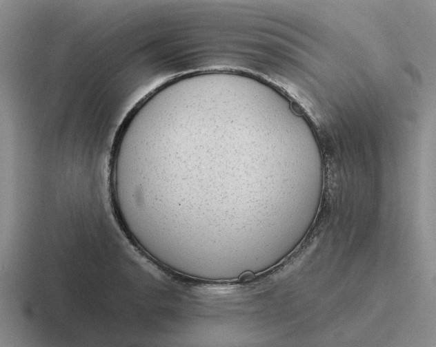 X0000116861134201001051420