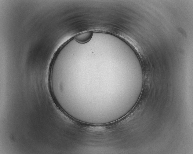 X0000116861135201001051420