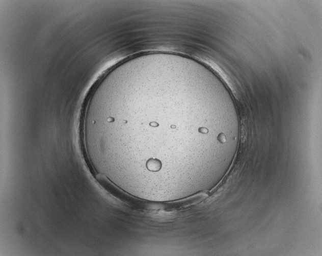 X0000116861139201001051420