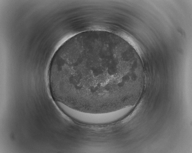 X0000116861141201001051420