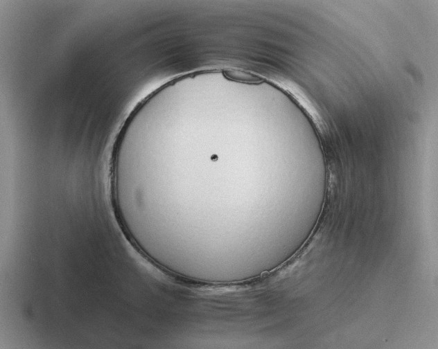 X0000116861143201001051420