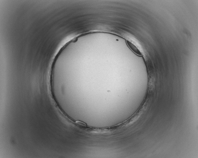 X0000116861146201001051420