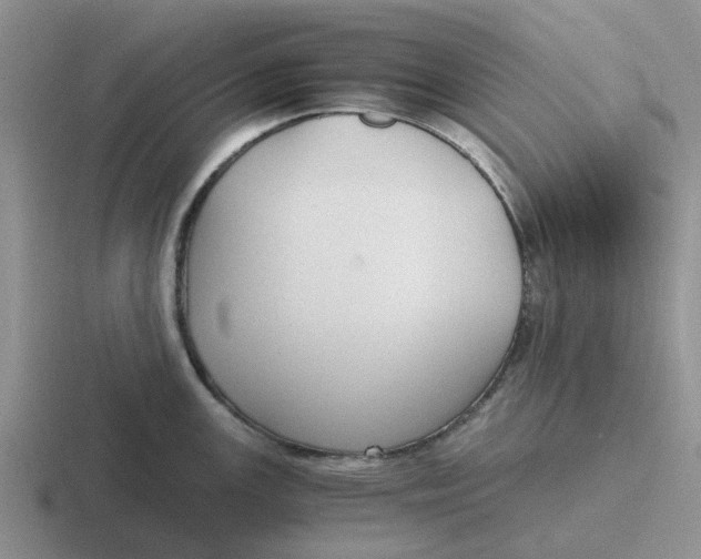 X0000116861147201001051420