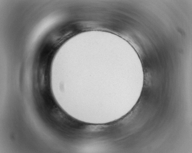 X0000116861150201001051420