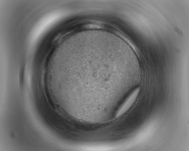 X0000116861151201001051420