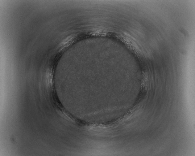 X0000116861154201001051419