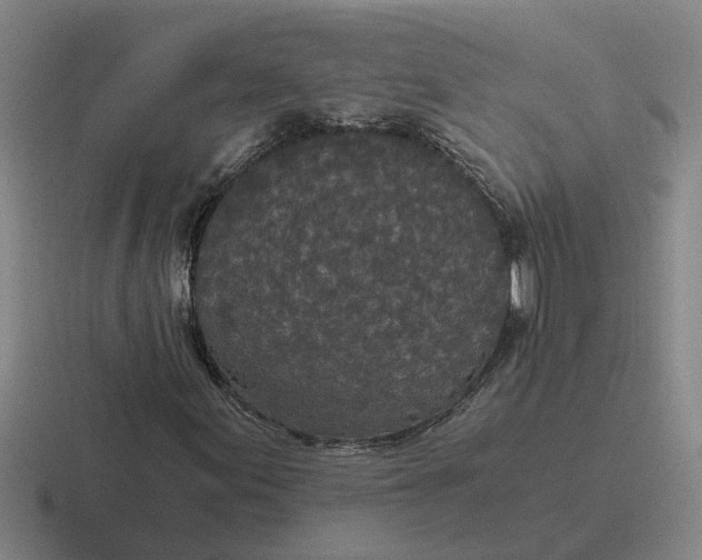 X0000116861155201001051419