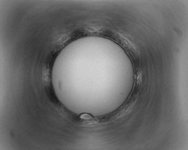 X0000116861156201001051419