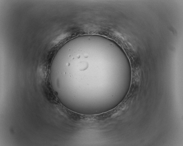 X0000116861157201001051419