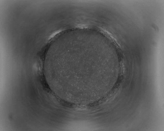 X0000116861158201001051419