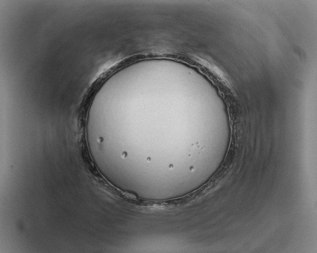 X0000116861160201001051419