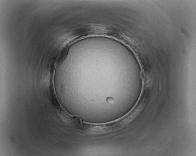 X0000116861161201001051419