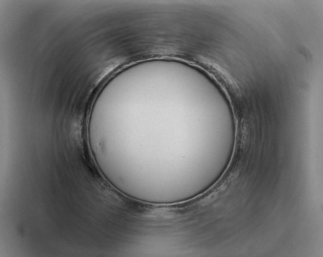 X0000116861162201001051419