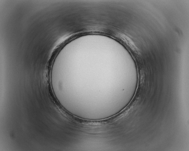 X0000116861164201001051419