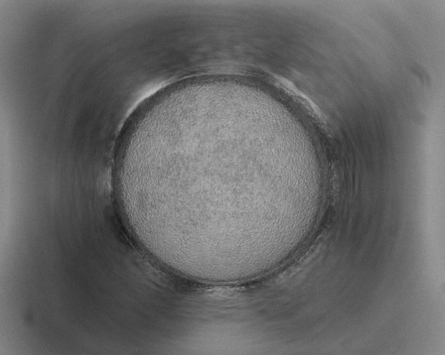 X0000116861166201001051419