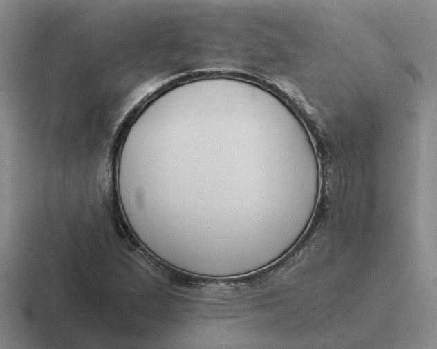 X0000116861167201001051419