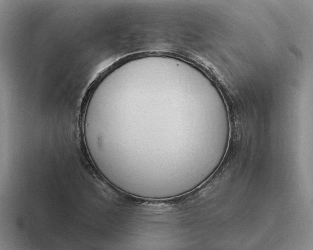 X0000116861168201001051419