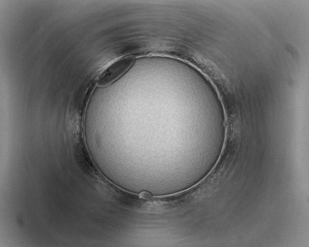 X0000116861169201001051419