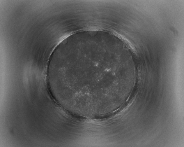 X0000116861170201001051419