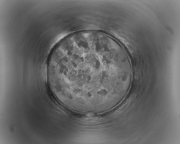 X0000116861171201001051419