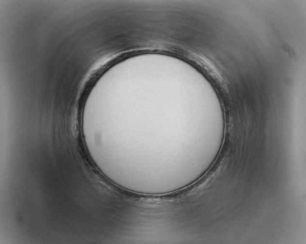 X0000116861172201001051419