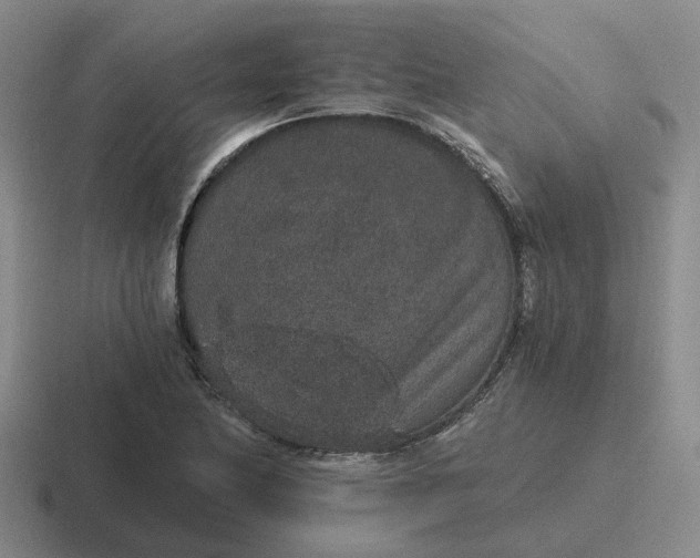 X0000116861174201001051419